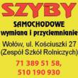 Szyby samochodowe 