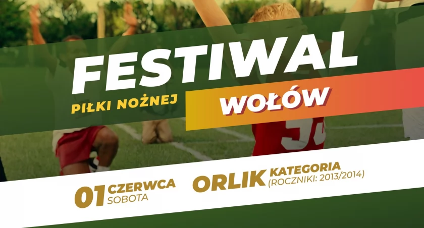 Fragment plakatu zamieszczonego przez Dolnośląskie Centrum Rozwoju