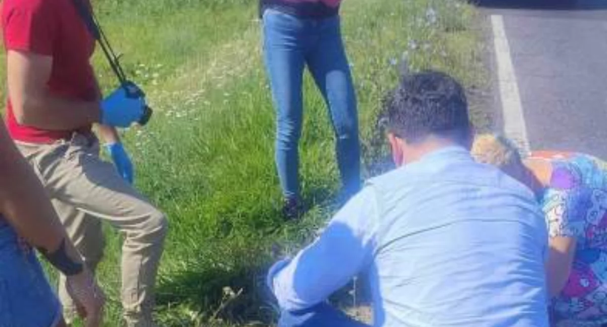 Interwencje, żyją pieski Poszukowani świadkowie - zdjęcie, fotografia