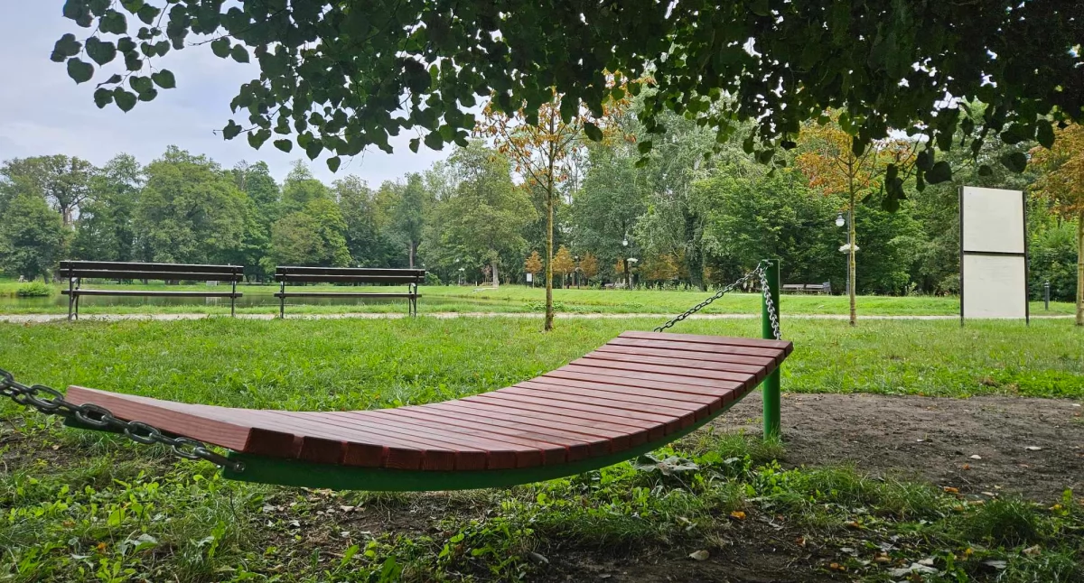 Hamak w parku miejskim 