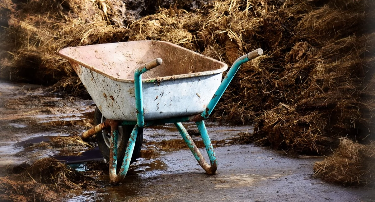 Interwencje, znów śmierdzi Brzegu Dolnym - zdjęcie, fotografia