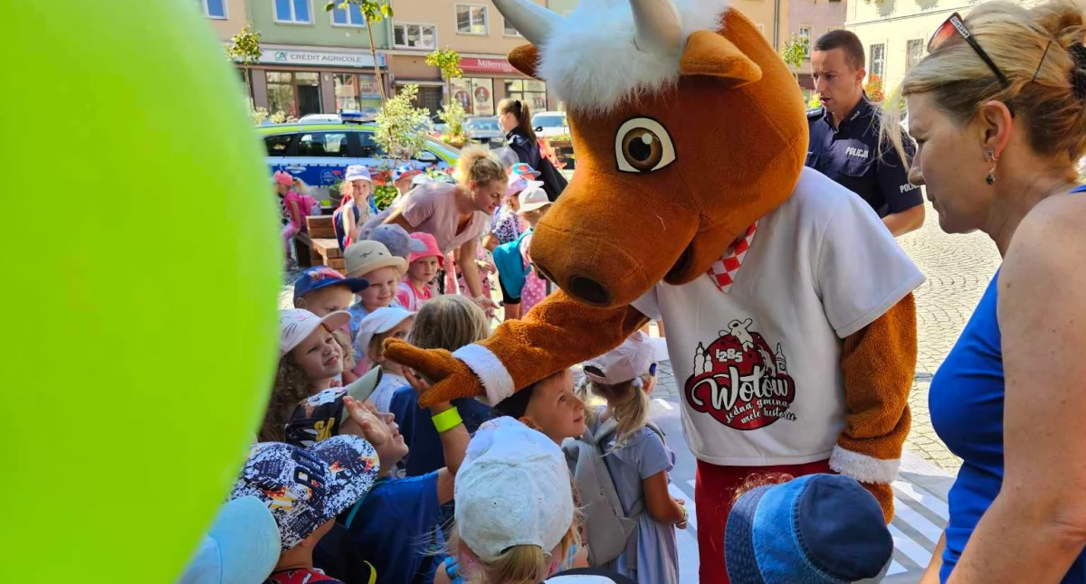Jedna z atrakcji dzisiejszego południa - Wołek