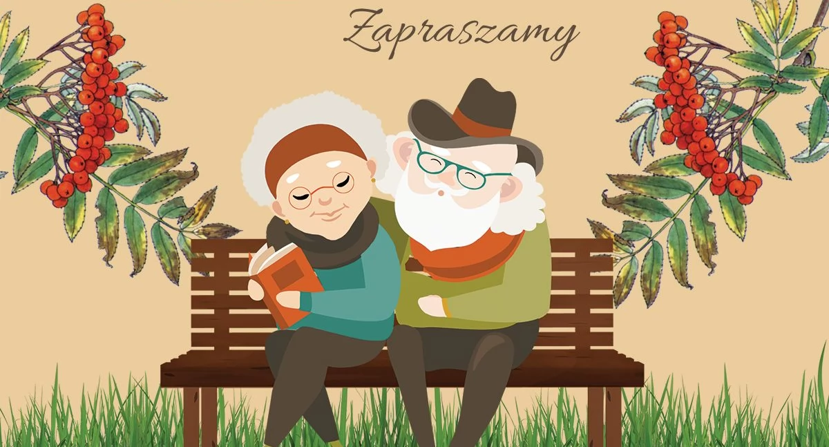 Fragment grafiki umieszczonej na DD Wołów TV