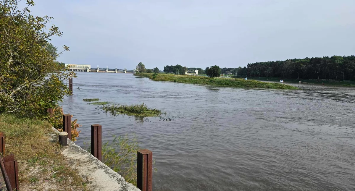 Odra przy Kręsku