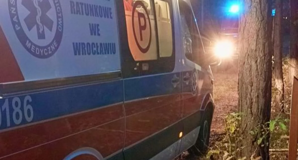 fot. OSP Krzydlina Mała - interwencja w lesie