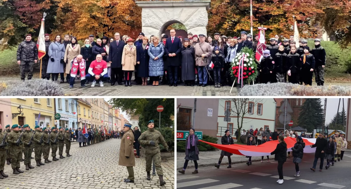 Autorzy fotografii: Kurier Gmin, gmina Wołów oraz Brzeg Dolny, Gminny Ośrodek Kultury w Wińsku, Czytelnicy.