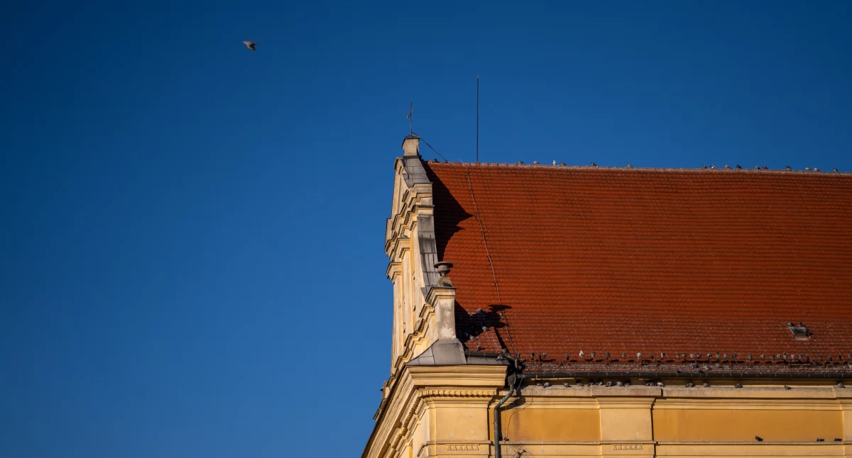 Koncerty, Muzyczne zakończenie Jubileuszu lecia Kościoła Karola Boromeusza - zdjęcie, fotografia