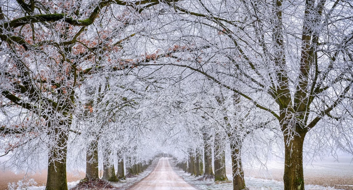 Pogoda, Kiedy nadejdzie śnieżna czeka białe Boże Narodzenie - zdjęcie, fotografia