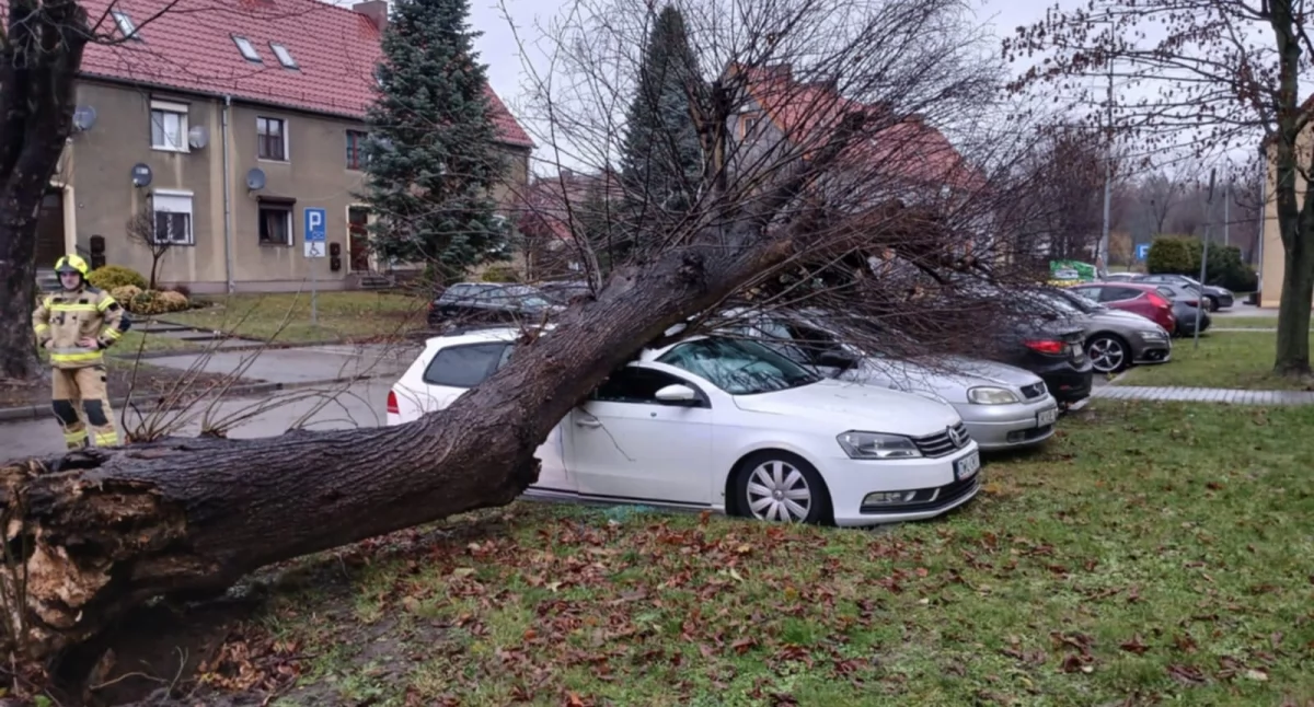 fot. OSP Brzeg Dolny