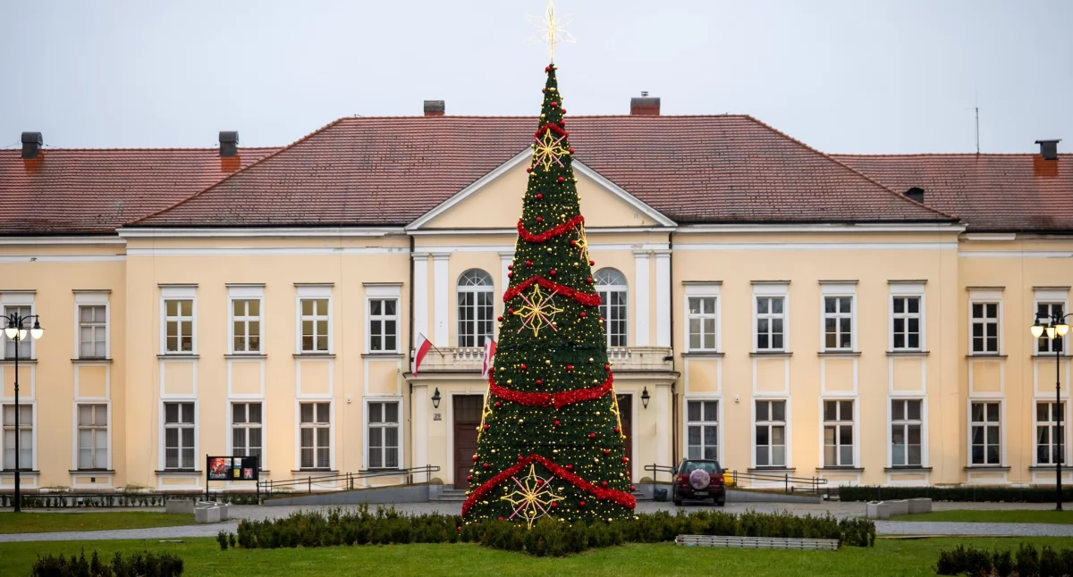 fot. Brzeg Dolny