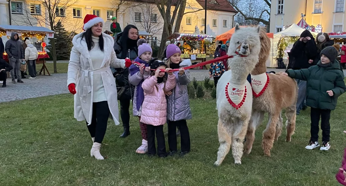 Święta i obchody, [ZDJĘCIA] świąteczne spotkanie Brzegu Dolnym - zdjęcie, fotografia