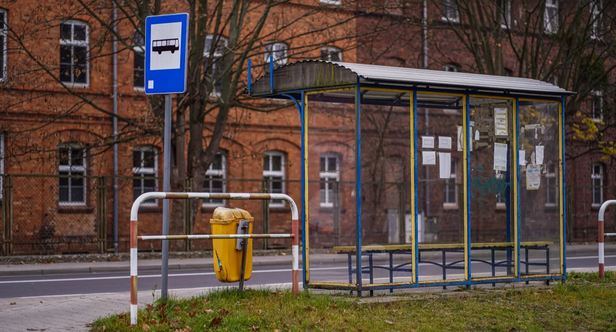 Komunikacja publiczna, Wracają autobusy gminy Brzeg Dolny - zdjęcie, fotografia