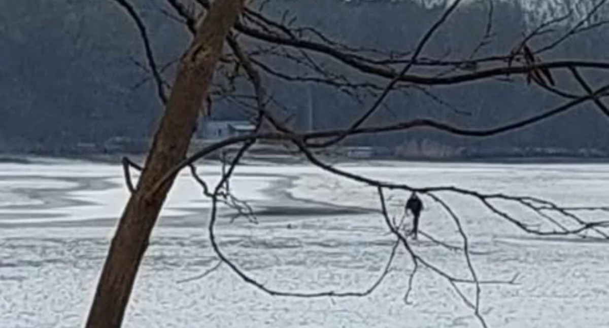 Bezpieczeństwo, Nasza Czytelniczka przypomina ostrzega spacer zbiornikach Wrzosach skrajna nieodpowiedzialność - zdjęcie, fotografia