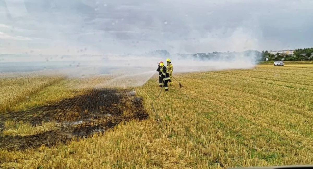 Bezpieczeństwo, Wczesną wiosną strażacy walczą wypalaniem trawy - zdjęcie, fotografia