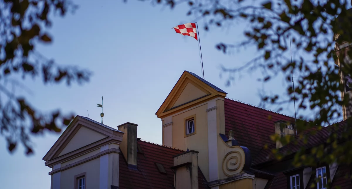 Przetargi, OGŁOSZENIE wyłożeniu ‍publicznego wglądu projektu zmiany studium uwarunkowań ‍kierunków zagospodarowania przestrzennego Miasta Gminy Wołów - zdjęcie, fotografia