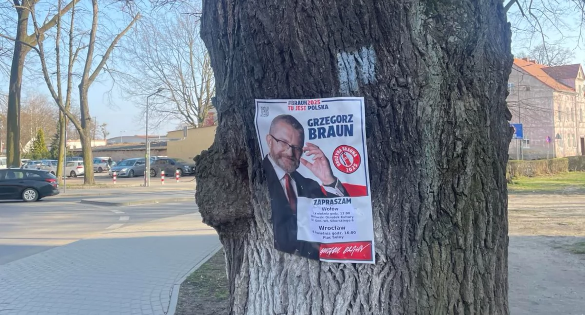 Polityka, Grzegorz Braun odwiedzi Wołów ramach kampanii prezydenckiej - zdjęcie, fotografia