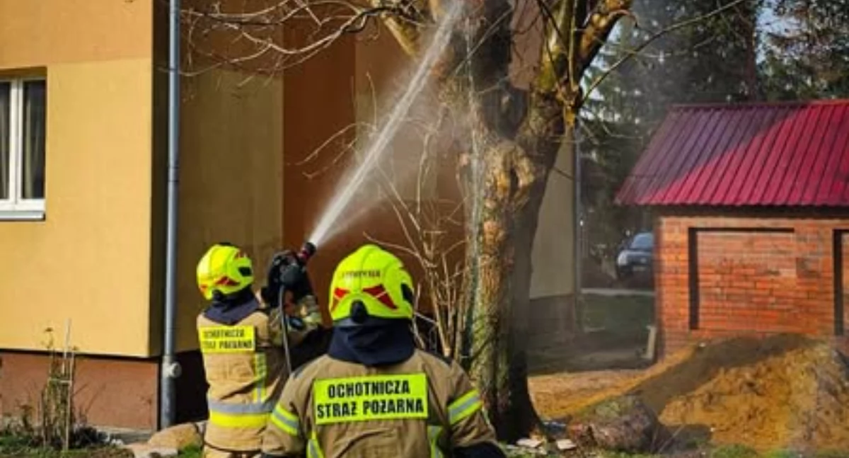 fot. OSP Brzeg Dolny