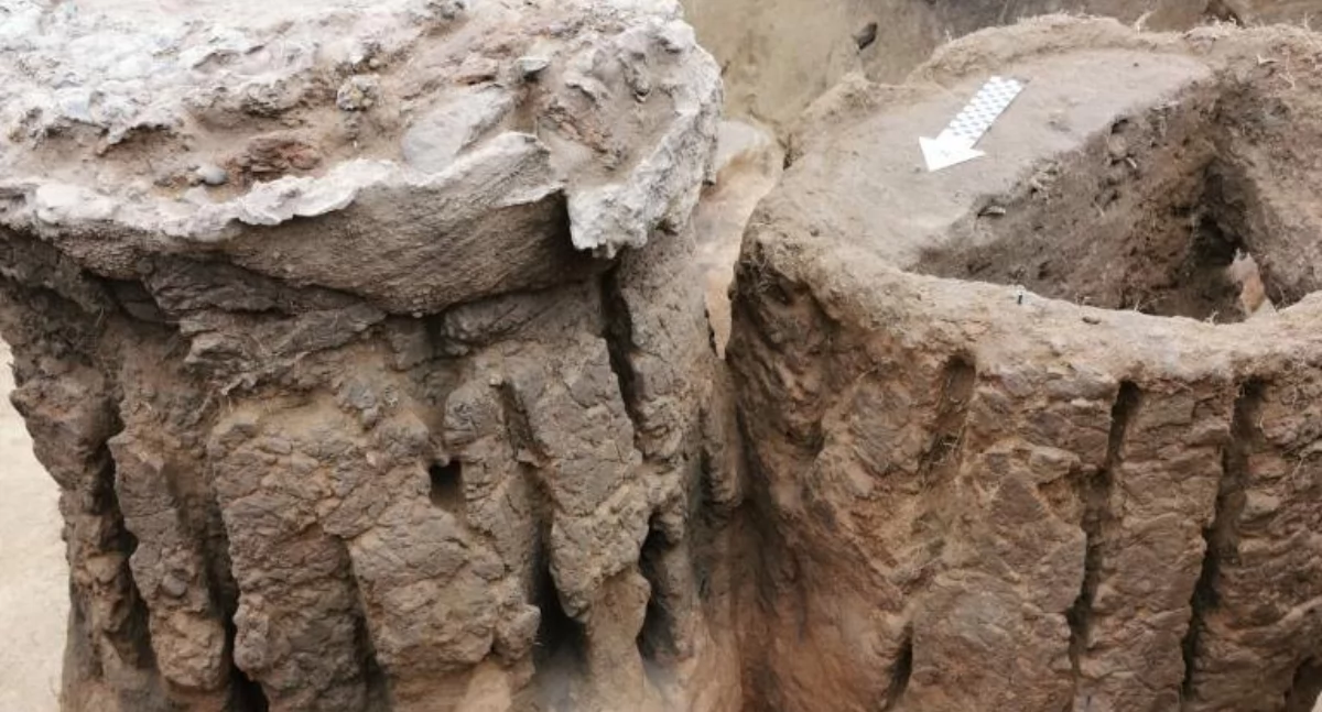 Historia, odkrycie archeologiczne Domaszkowie! Osada hutnicza sprzed zachwyca badaczy - zdjęcie, fotografia