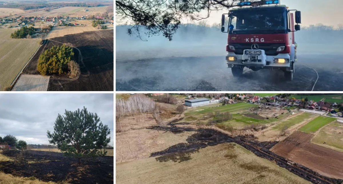 fot. OSP Brzeg Dolny