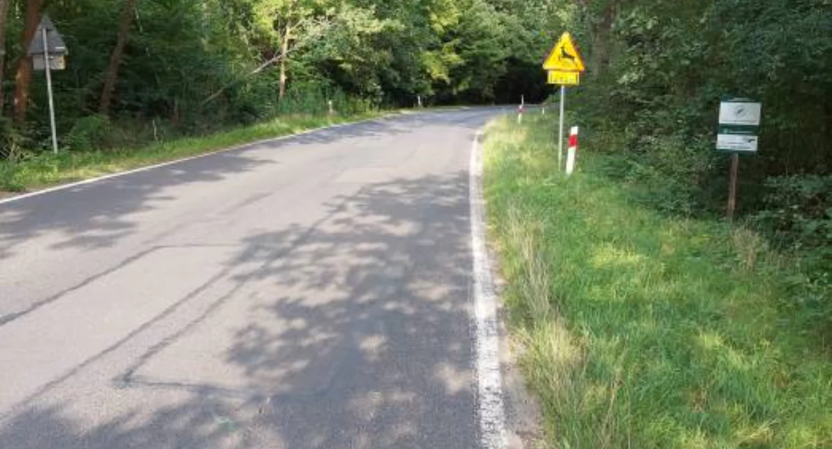 Samochód wypadł z drogi i zsunął się do lasu