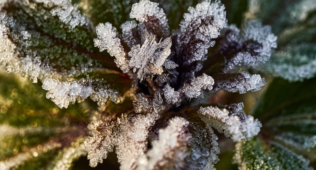 Noc na minusie? Jest kolejne ostrzeżenie meteorologów