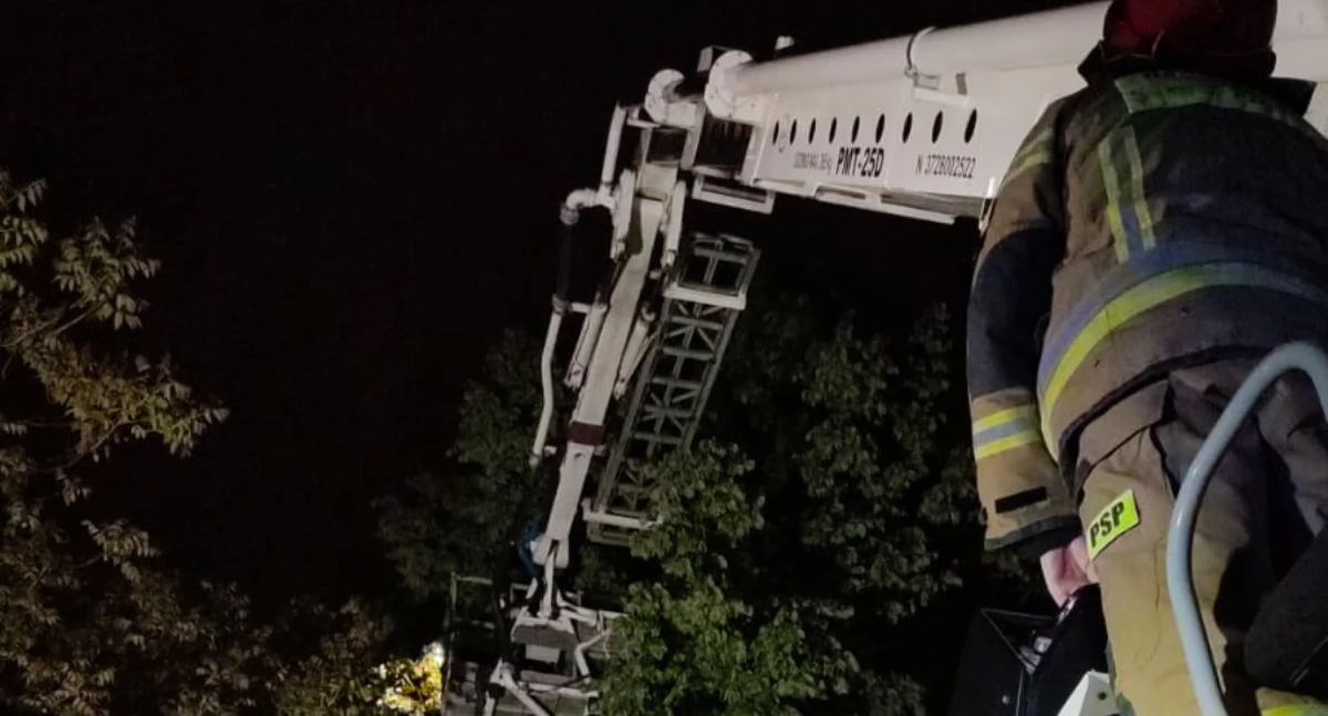 Akcja jak z filmu… z kotem w roli głównej! Nocna interwencja strażaków