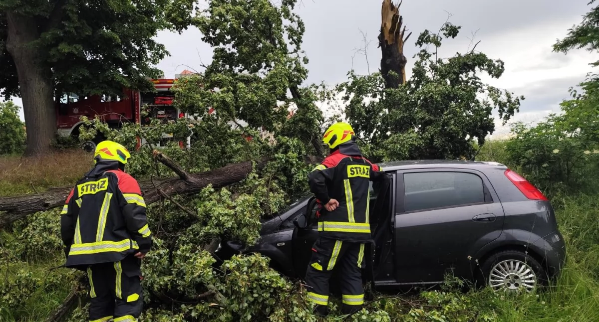 Auto wypadło z drogi na stare boisko