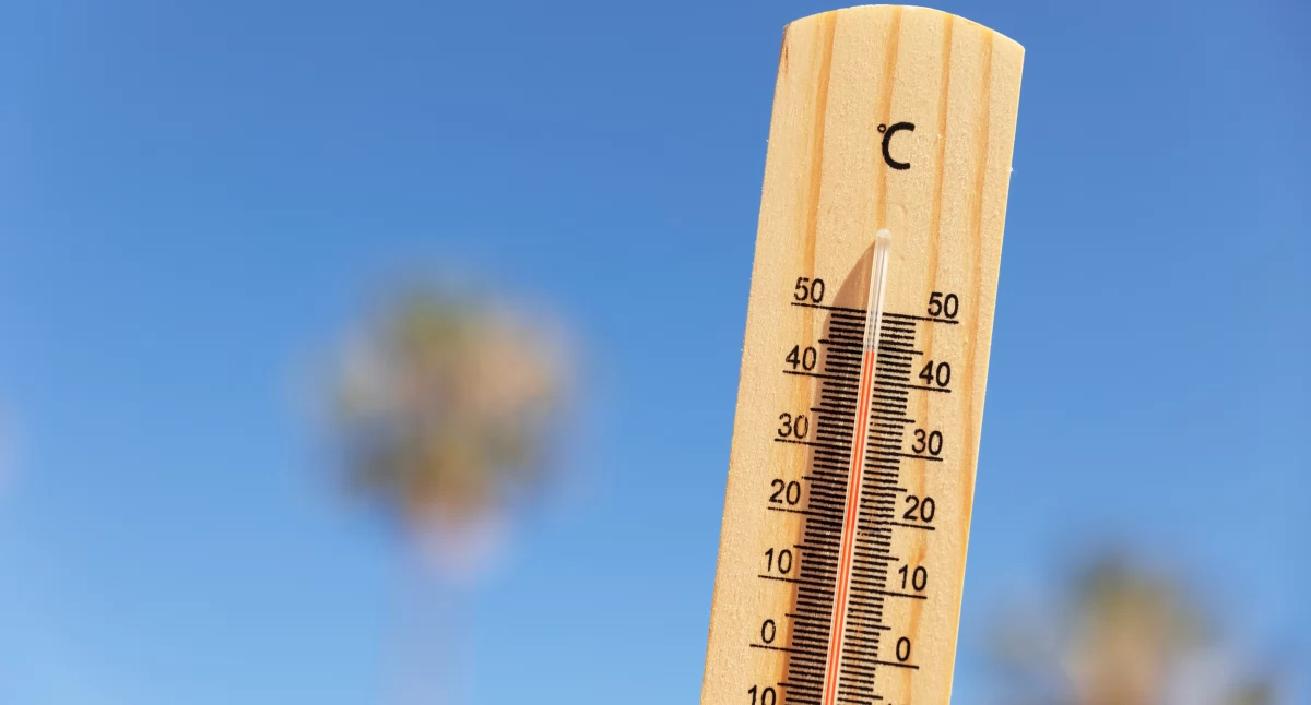 Pogoda, Uwaga mieszkańcy powiatu wołowskiego! Ostrzeżenie przed upałem nawet 31°C - zdjęcie, fotografia