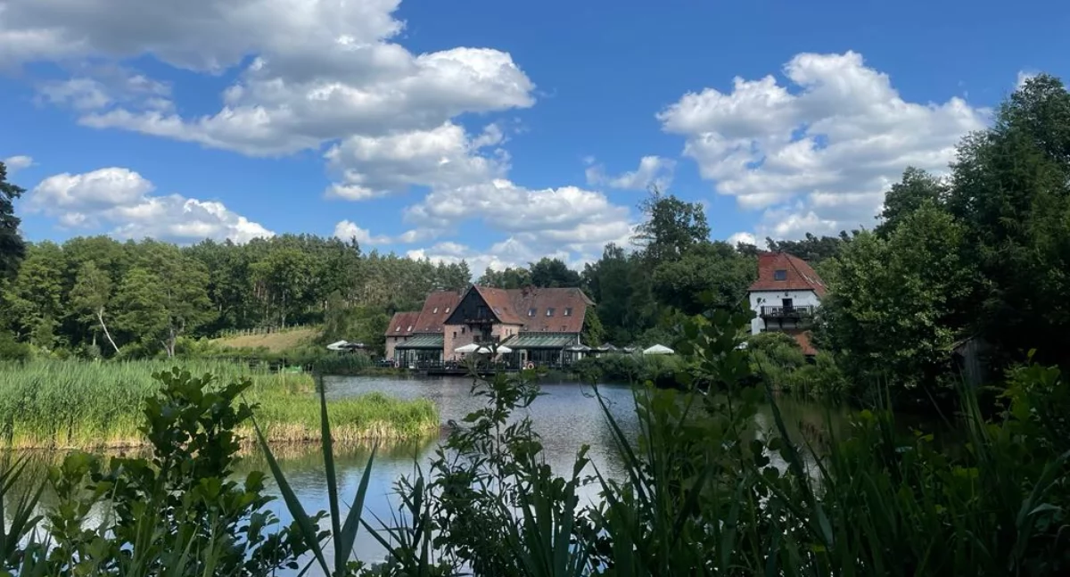 Gościniec pod Zającem – historia, natura i odpoczynek tuż obok nas