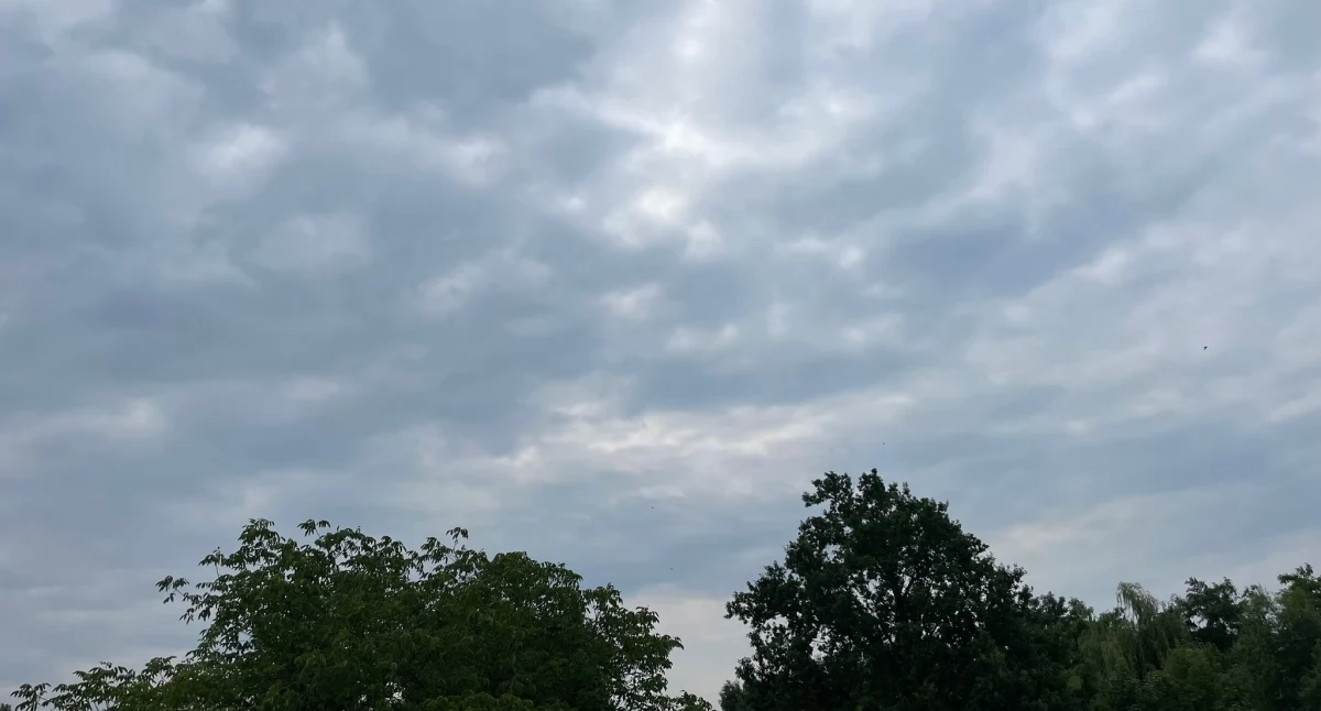 Pogoda, ostrzega możliwe burze silnym deszczem wiatrem obowiązuje alert pierwszego stopnia - zdjęcie, fotografia