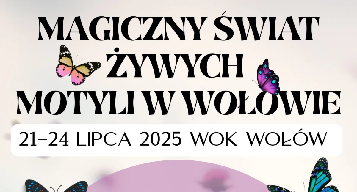 Imprezy cykliczne, Bajeczna Wystawa Żywych Motyli Wołowie poczuj magię tropików! - zdjęcie, fotografia