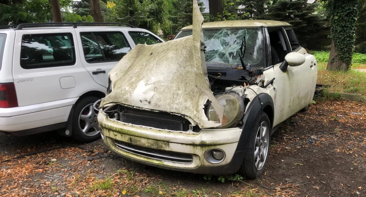 Interwencje, Tajemnicze parkingu Brzegu Dolnym Skąd wzięło - zdjęcie, fotografia