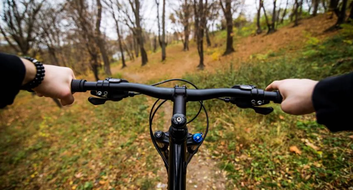 Inne sporty, Rodzinna wycieczka naturą odkryj zagórzyckie łąki lokalnymi pasjonatami przyrody! - zdjęcie, fotografia