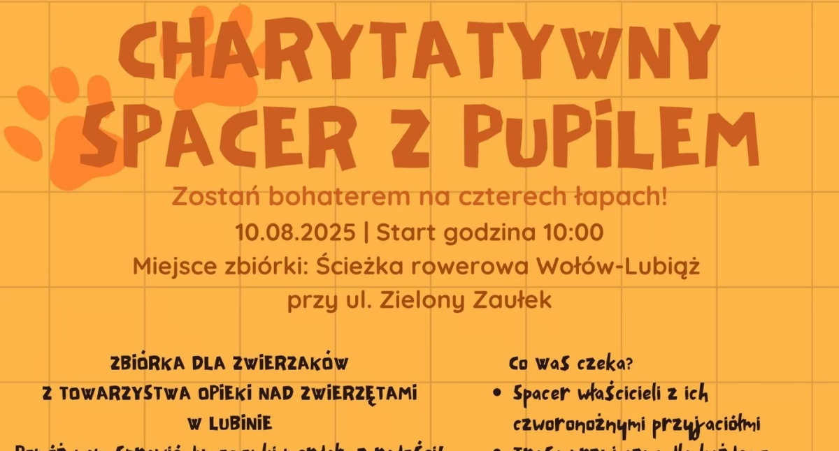 Bieganie, Charytatywny spacer pupilem dołącz pomóż zwierzakom! - zdjęcie, fotografia