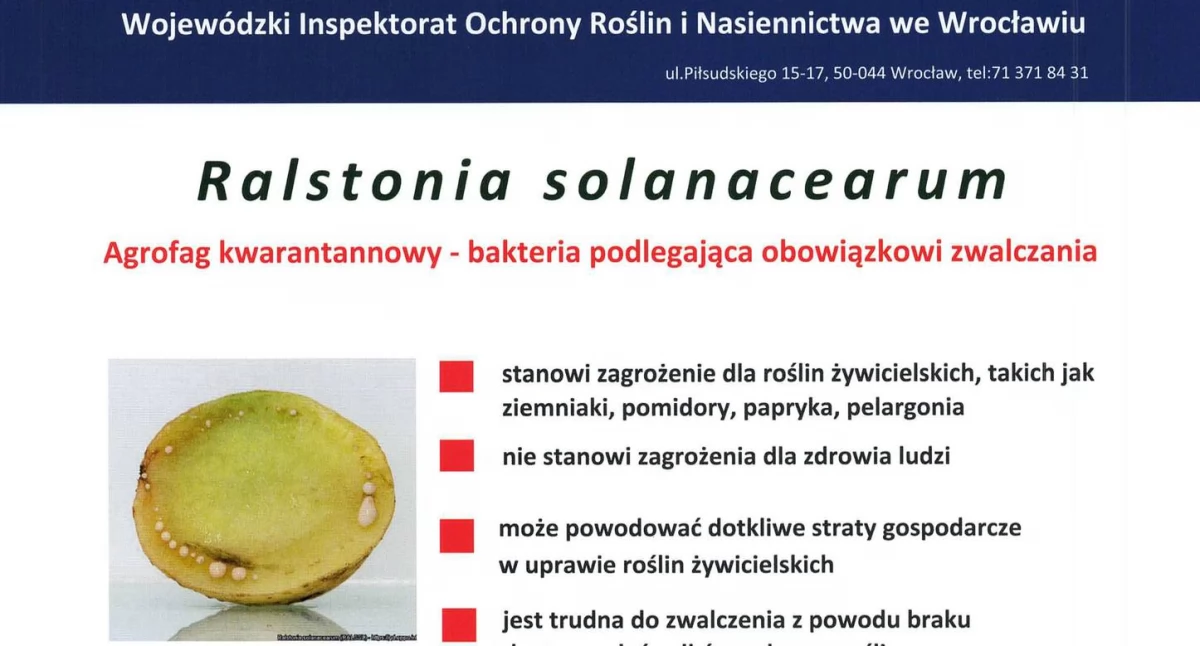 Rolnictwo, Groźna bakteria Ralstonia solanacearum ostrzeżenie rolników powiatu wołowskiego - zdjęcie, fotografia