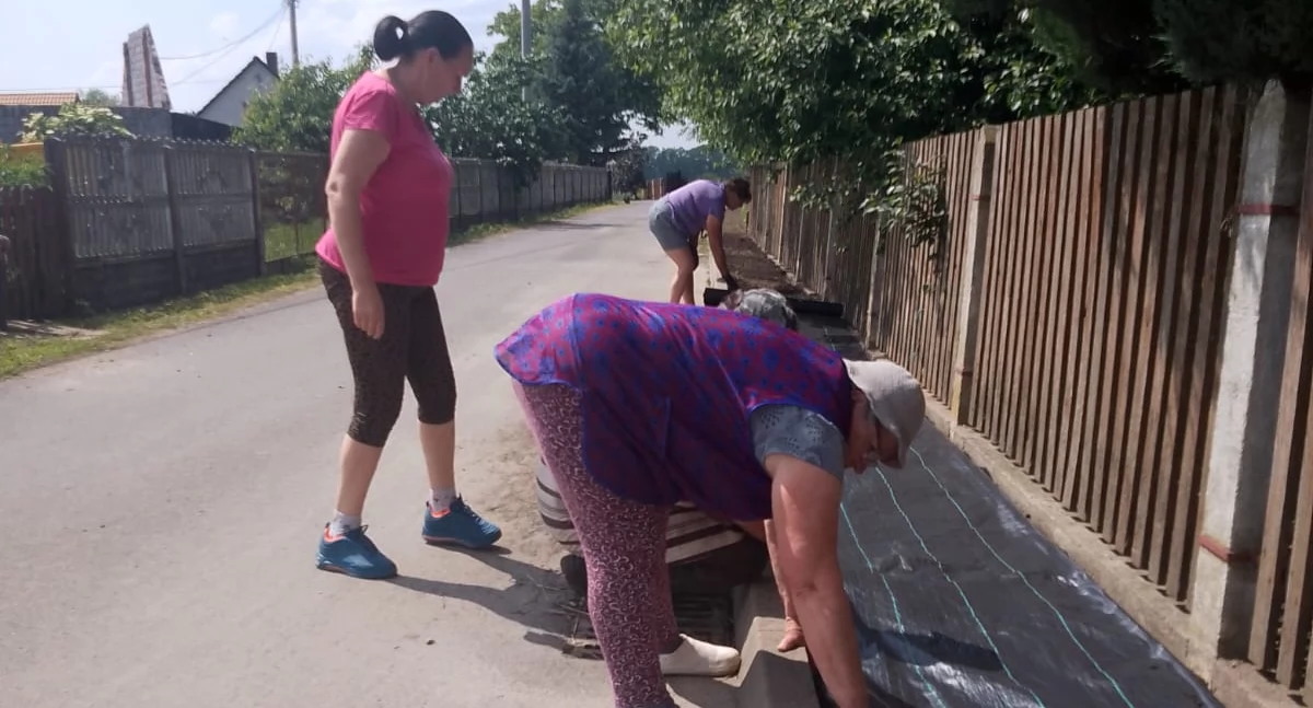 Inwestycje, Odnowa upiększenie Pieruszy altana impregnacja zieleń rzecz społeczności - zdjęcie, fotografia