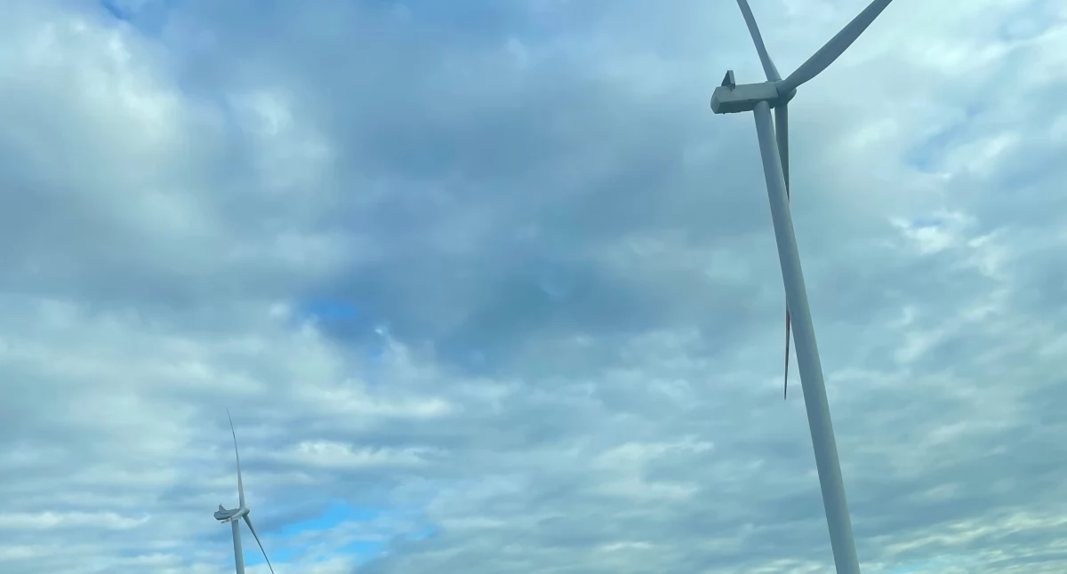 Natura i ekologia, Prezydent zawetował ustawę wiatrakową Brzeg Dolny Wołów wycofały planów Potęgowie żyją energii wiatru - zdjęcie, fotografia