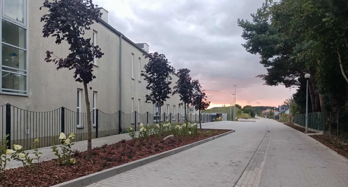 Inwestycje, Zazieleniono ulicę Szkolną Brzegu Dolnym - zdjęcie, fotografia