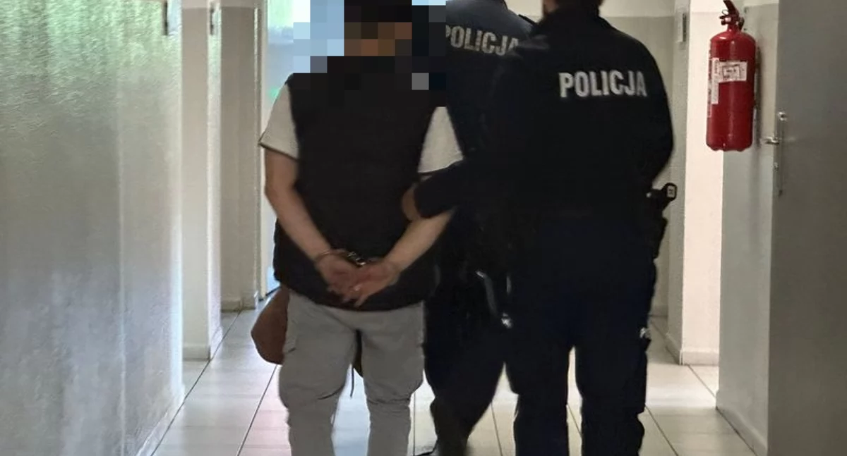 Bezpieczeństwo, Policjanci zatrzymali sprawcę podpalenia - zdjęcie, fotografia