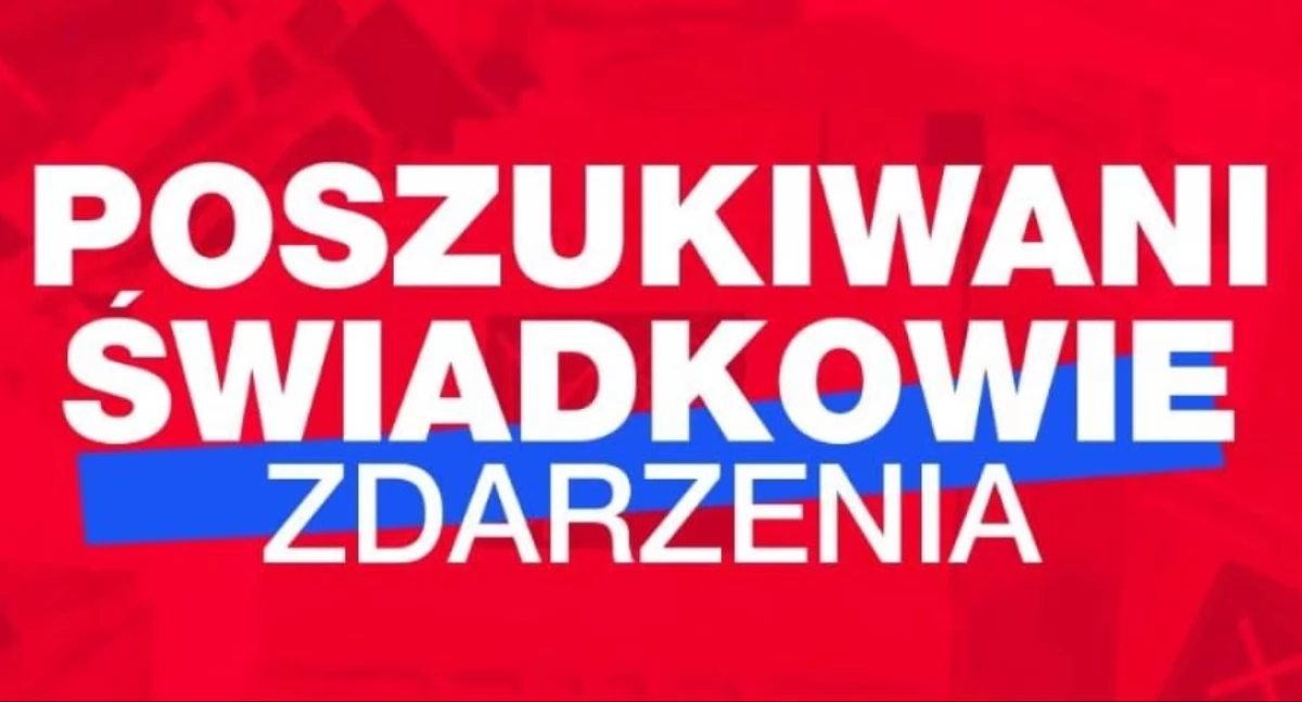 Komunikaty policji, Policja poszukuje świadków potrącenia Poznańskiej Wołowie - zdjęcie, fotografia