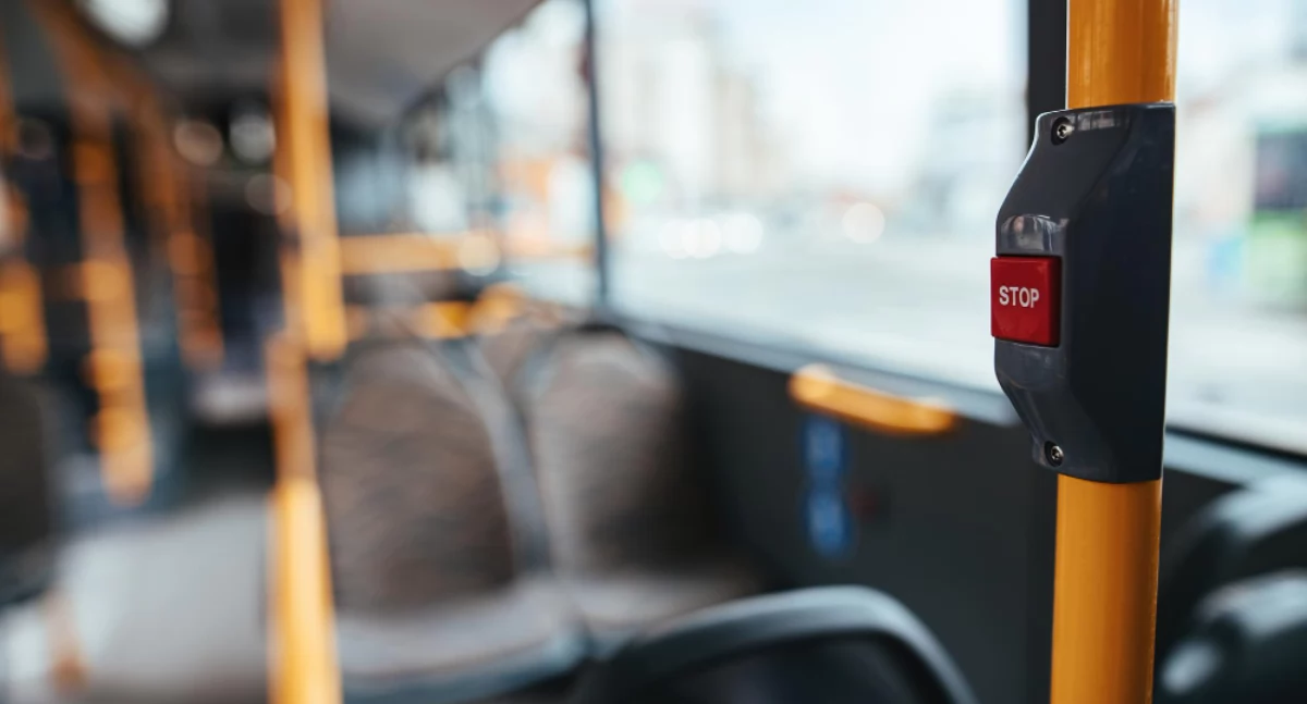 Komunikacja publiczna, Bezpłatne autobusy cmentarz Wołowie Wszystkich Świętych - zdjęcie, fotografia