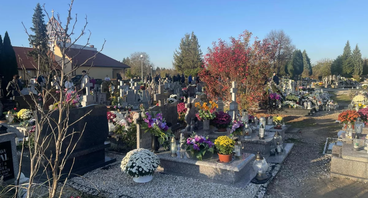 Publikacje, kosztuje sprzątanie grobów Sprawdziliśmy oferty dostępne mieszkańców powiatu wołowskiego - zdjęcie, fotografia