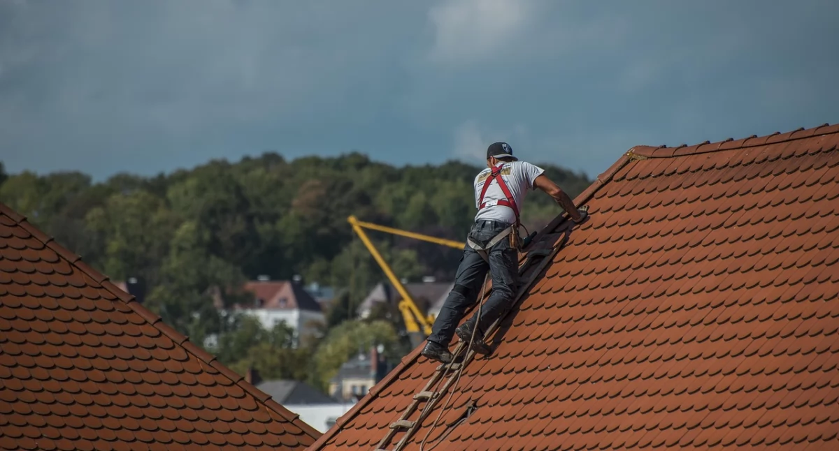 Rynek pracy, Szukasz pracy Wołowie okolicy Sprawdź aktualnie rekrutuje - zdjęcie, fotografia