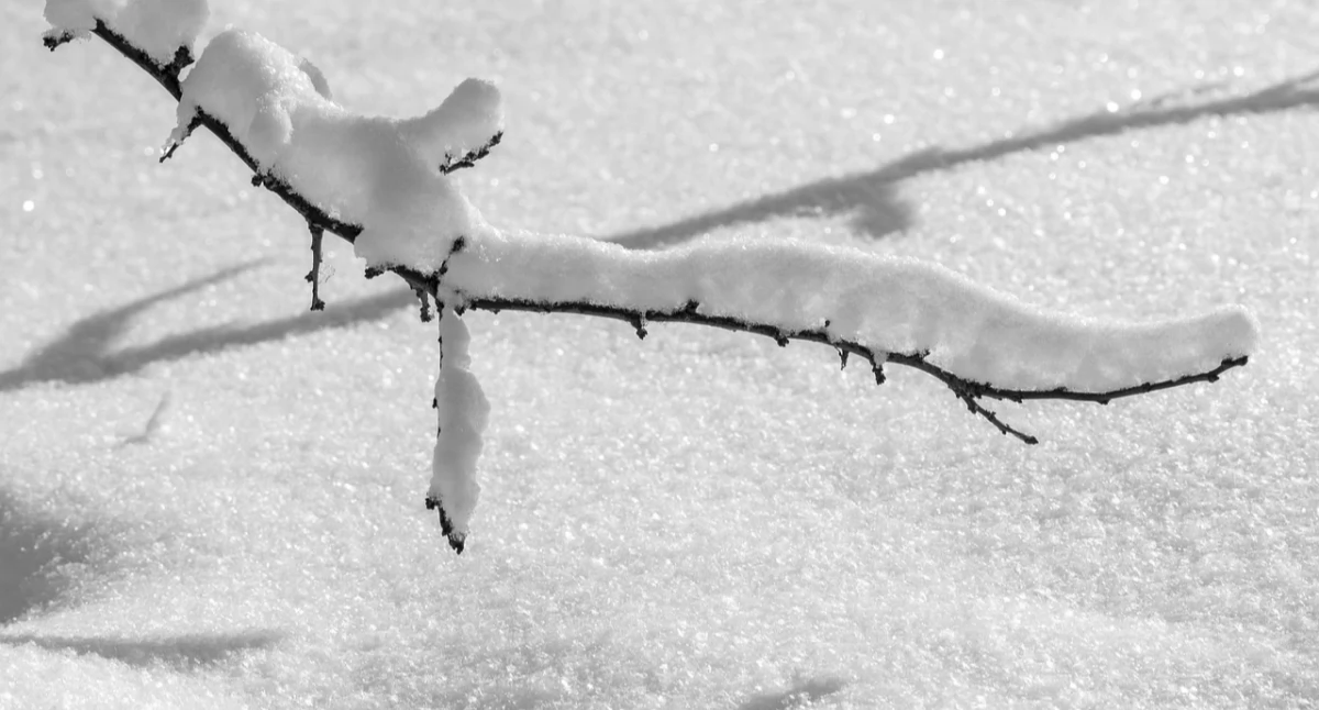 Pogoda, Powiat wołowski śniegiem wydał ostrzeżenie meteorologiczne - zdjęcie, fotografia