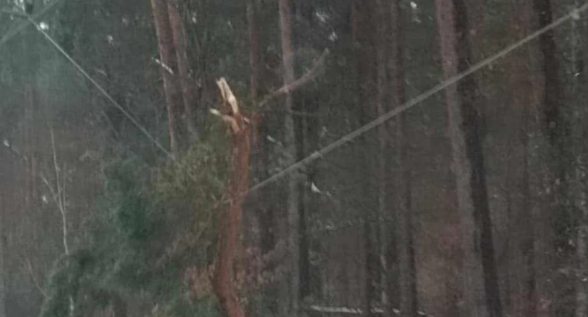 Pogoda, Awaria prądu śnieżycy Setki domów zasilania wczoraj połamane drzewa utrudniają dojazd Uważajcie drogach! - zdjęcie, fotografia