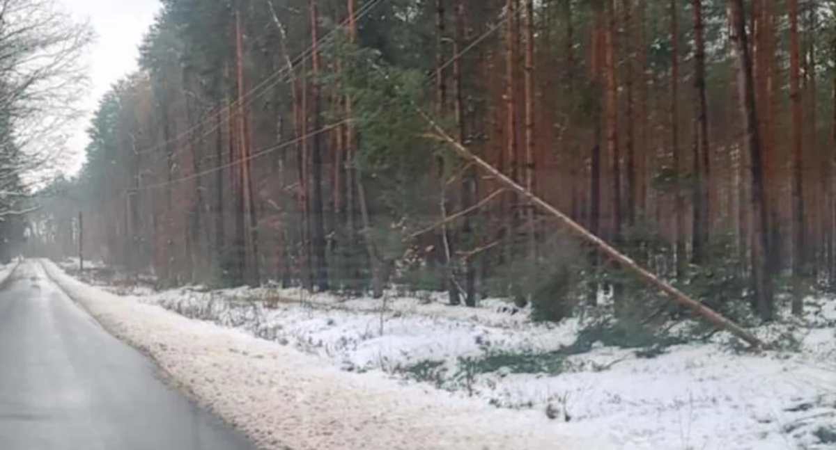 Pomoc, interwencji straży pożarnej Powiat wołowski ciężarem śniegu - zdjęcie, fotografia