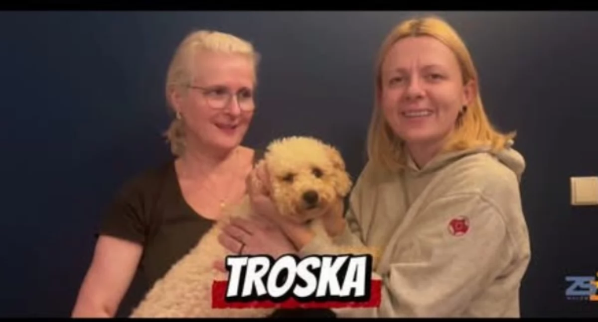 Edukacja i szkoły, Zespół Szkół Zawodowych Wołowie finale ogólnopolskiego konkursu „Obiektyw Obywatelski”! - zdjęcie, fotografia