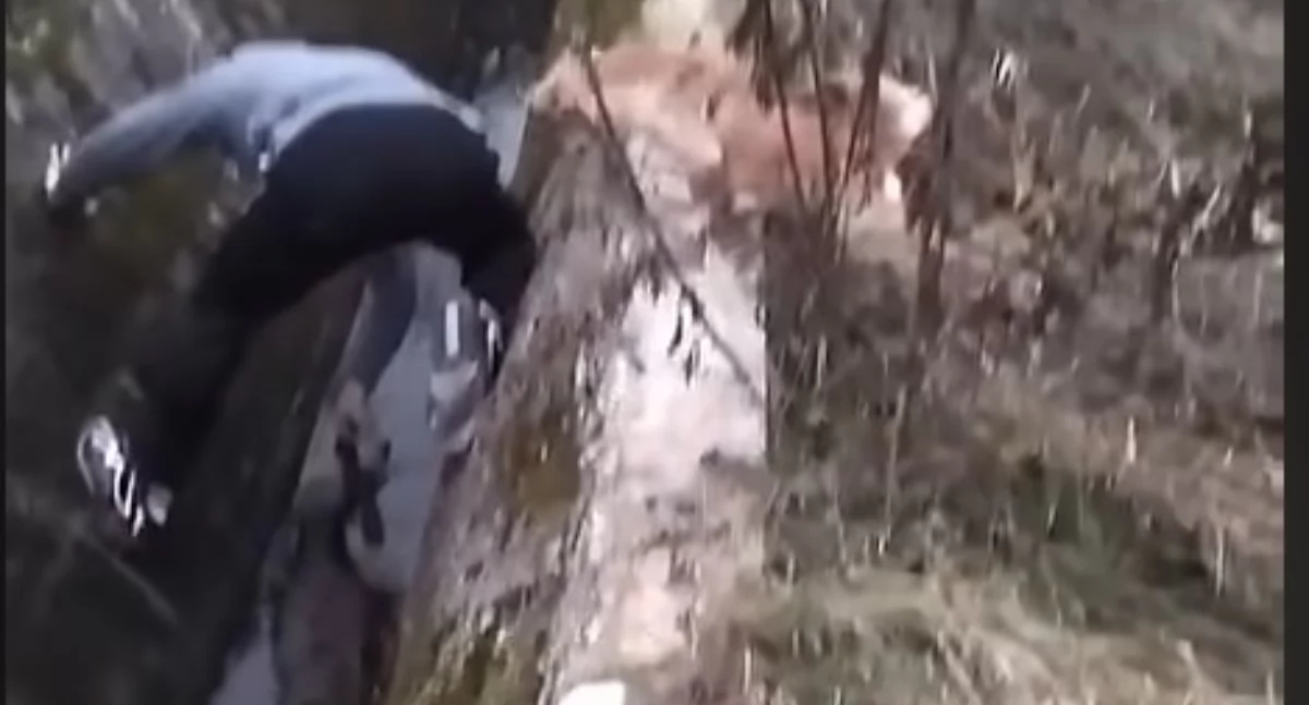 Interwencje, Tragedia kanale oczyszczalni Bożeniu Jedna sarna przeżyła - zdjęcie, fotografia