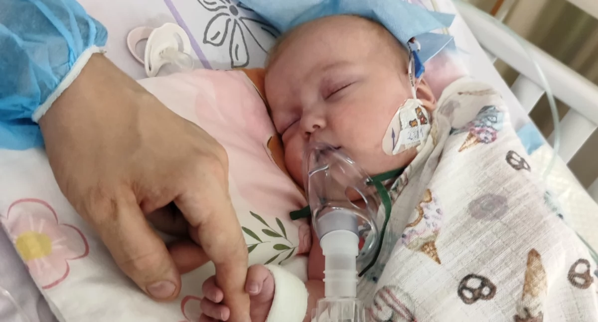 Akcje charytatywne, Miała szansy przeżycie! Operacja jedyną szansą malutkiej Legnicy - zdjęcie, fotografia