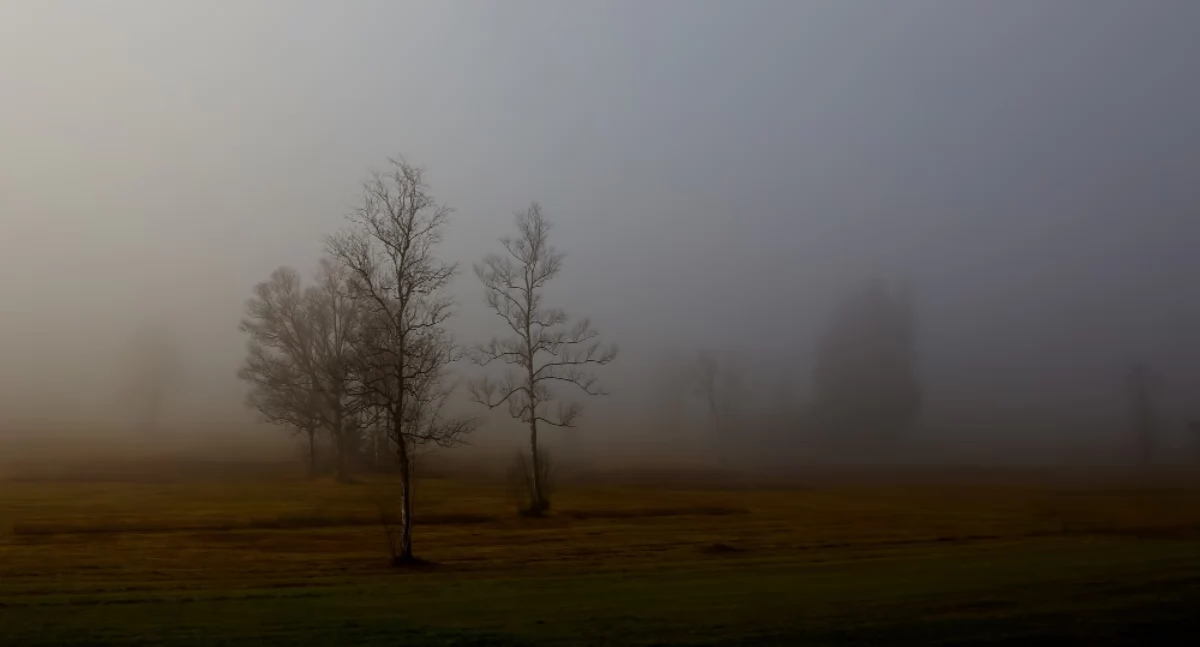 Pogoda, ostrzega gęsta mgła powiatem wołowskim - zdjęcie, fotografia